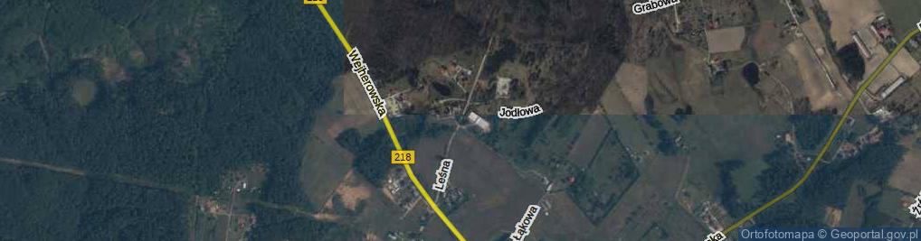 Zdjęcie satelitarne Leśna ul.